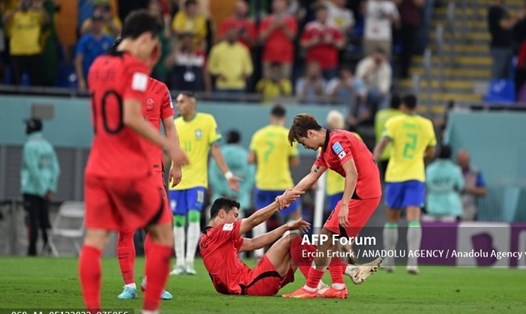 Đội tuyển Hàn Quốc dừng chân ở vòng 1/8 World Cup 2022. Ảnh: AFP