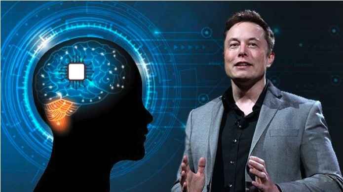 Neuralink, công ty chip cấy não do Elon Musk điều hành đang bị điều tra về việc lạm dụng thí nghiệm trên động vật. Ảnh: AFP