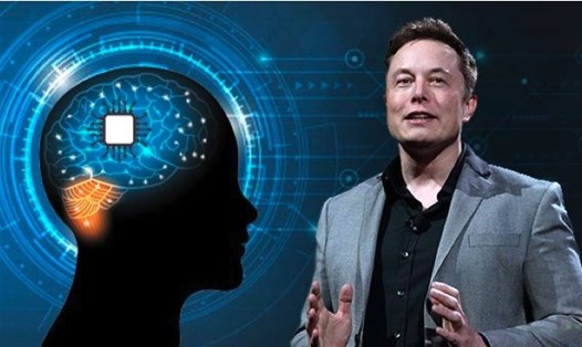 Neuralink, công ty chip cấy não do Elon Musk điều hành đang bị điều tra về việc lạm dụng thí nghiệm trên động vật. Ảnh: AFP