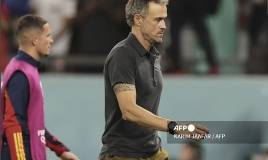 Huấn luyện viên Luis Erique có kỳ World Cup đáng quên. Ảnh: AFP