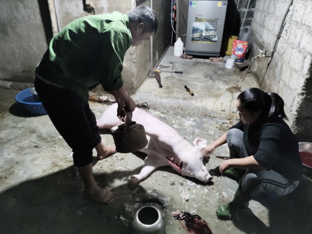 Ông Thắng bị phạt 7 triệu đồng vì giết mổ lợn tại nhà riêng. Ảnh: Công an cung cấp.