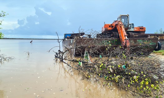 10 năm, Cà Mau mất đất, mất rừng tương đương 1 xã vì sạt lở bờ biển do ảnh hưởng của biến đổi khí hậu. Ảnh: Nhật Hồ