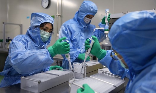 Kỹ thuật viên đang chế tạo bộ dụng cụ xét nghiệm y tế trong phòng thí nghiệm tại Sophonix, một công ty sản xuất bộ dụng cụ xét nghiệm y tế ở Bắc Kinh. Ảnh: AFP
