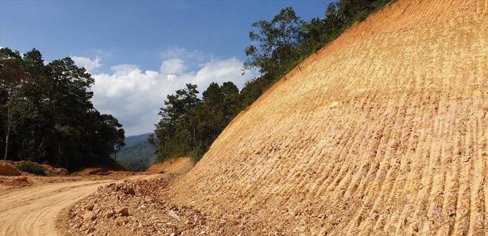 Phải xử nghiêm vụ phá trắng 15 hecta rừng đặc dụng ở Đắk Lắk