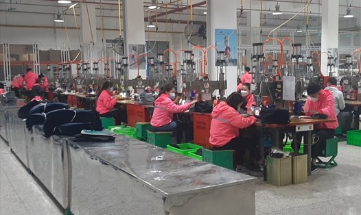 Sáng ngày 14.2, CNLĐ tại Công ty TNHH Vienergy (KCN Phúc Sơn, thành phố Ninh Bình) đã trở lại làm việc bình thường. Ảnh: NT