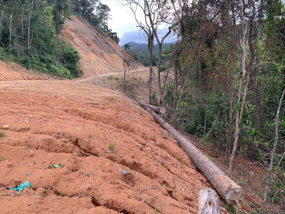 Rừng đặc dụng bị phá ở Đắk Lắk: Yêu cầu chủ đầu tư báo cáo số gỗ thất thoát