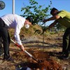 Ông Nguyễn Công Vinh - Phó Chủ tịch UBND tỉnh (áo trắng) tham gia trồng cây tại lễ phát động Tết trồng cây. Ảnh: T.A