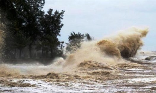 Các tỉnh từ Quảng Ninh đến Bình Thuận chủ động ứng phó với gió mạnh trên biển. Ảnh: TL