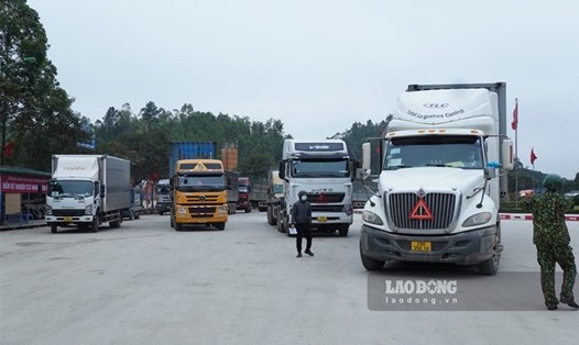 Năng lực thông quan tại các cửa khẩu trên địa bàn tỉnh Lạng Sơn rất chậm. Ảnh: LDO