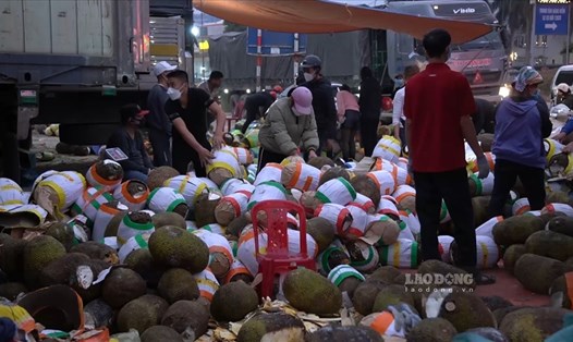 Mít không xuất khẩu được tập kết ở ngã tư Phai Trần, TP.Lạng Sơn chờ “giải cứu”.
Ảnh: Hữu Chánh