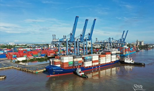 Tân Cảng TPHCM hầu hết số container để xuất khẩu hàng hóa đều phụ thuộc vào doanh nghiệp nước ngoài. Ảnh: B.N
