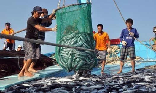 Ngư dân Việt Nam đánh cá trên biển. Ảnh: T.D