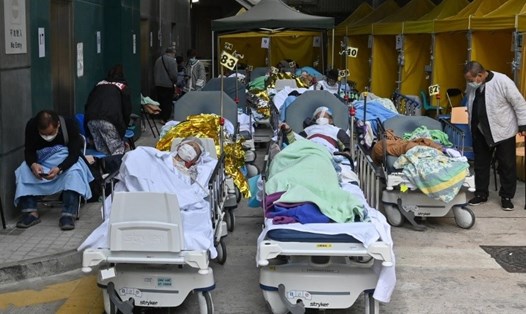 Nhiều bệnh nhân COVID-19 tại Hong Kong phải điều trị trên giường bệnh ngoài trời. Ảnh: AFP