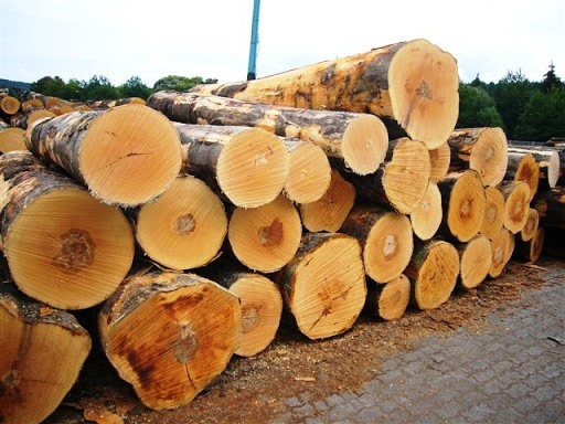 Những nghịch lý khiến nguồn cung nguyên liệu gỗ thiếu hụt, bế tắc