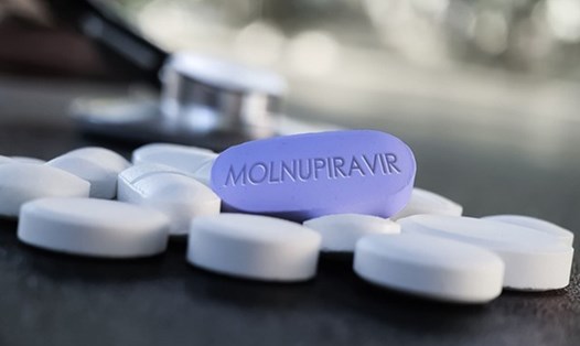Những ai không được dùng Molnupiravir trong chữa trị COVID-19? Ảnh: LĐO