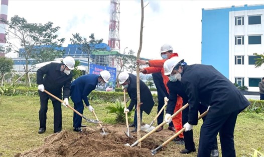 Cán bộ và đoàn viên Công đoàn Điện lực Việt Nam thực hiện trồng cây tại Công ty Nhiệt điện Thái Bình. Ảnh: CĐCC