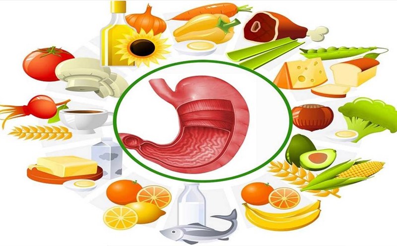 5 lợi ích dinh dưỡng của nghêu