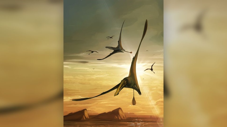 Largest Jurassic Pterosaur Fossil Unearthed in Scotland