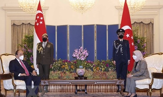 Chủ tịch nước Nguyễn Xuân Phúc hội kiến với Tổng thống Singapore Halimah Yacob. Ảnh: TTXVN