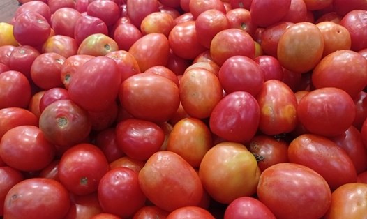 Cà chua thuộc nhóm rau củ giàu vitamin E. Ảnh: Thanh Ngọc