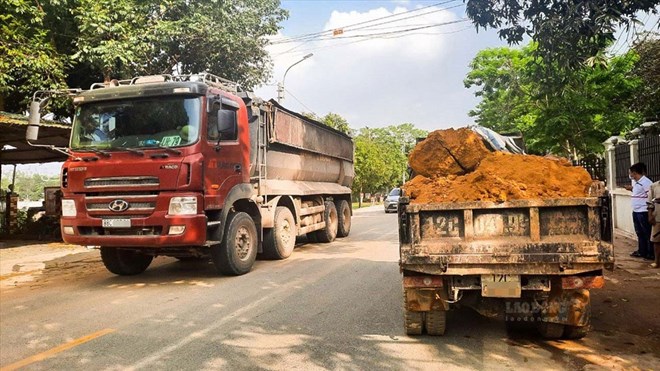 Giấy phép lái xe hạng C lái được những loại xe nào?