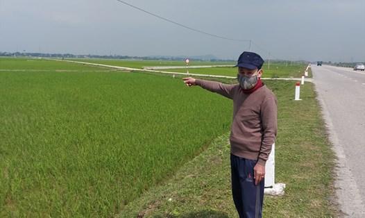 9 lô đất mà huyện Đức Thọ thu hồi đất lúa của dân ở xã Lâm Trung Thủy để bán đấu giá nhưng chưa làm hạ tầng. Ảnh: Trần Tuấn.