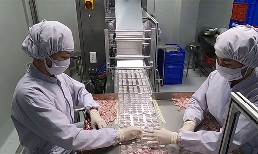 Người lao động công ty Cổ phần Dược phẩm Boston Việt Nam đang sản xuất thuốc điều trị COVID-19 chứa hoạt chất Molnupiravir. Ảnh: Đình Trọng