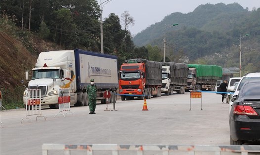 Lãnh đạo Chính phủ yêu cầu điều phối hợp lý phương tiện vận tải lên cửa khẩu, tránh ùn tắc. Ảnh: Quang Duy