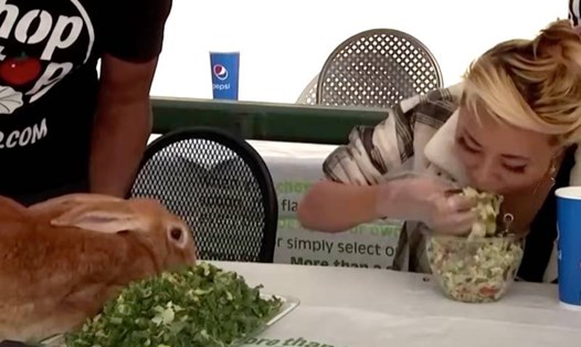 Con thỏ khổng lồ Honey "Mega" Bunny thua trong cuộc thi ăn salad. Ảnh chụp màn hình