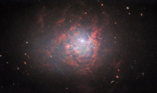 Hình ảnh mới về thiên hà lùn NGC 1705 do kính viễn vọng không gian Hubble chụp. Ảnh: ESA/Hubble & NASA, R. Chandar