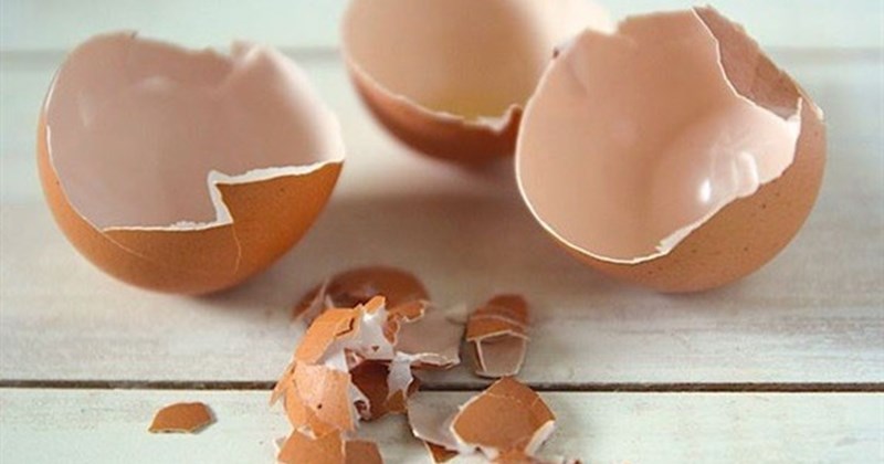 3 tác dụng bất ngờ của vỏ trứng