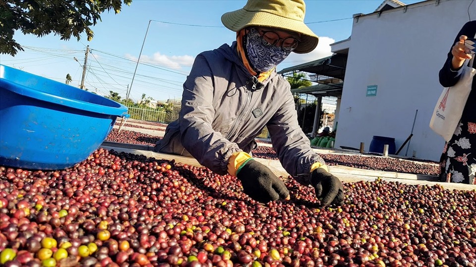 Lợi ích từ các hiệp định thương mại tự do thế hệ mới mang lại rất lớn