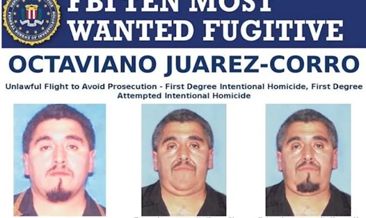 Juarez-Corro, 1 trong 10 đối tượng bị FBI truy nã toàn cầu sa lưới sau 16 năm. Ảnh: FBI