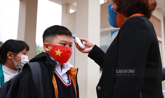 Dự kiến, học sinh từ lớp 1 đến lớp 6 ở 12 quận đi học từ ngày 21.2. Ảnh: Hải Nguyễn