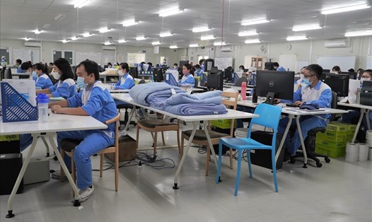 Người lao động làm việc tại nhà máy Công ty TNHH Nitori Furniture Việt Nam ở KCN Phú Mỹ III. Ảnh: T.A