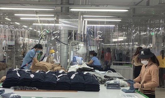 Người lao động tại một doanh nghiệp may trong khu công nghiệp tỉnh Bắc Giang trong giờ làm việc. Ảnh minh hoạ. Ảnh: Đ.T
