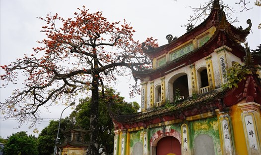 Vẻ đẹp ngôi chùa cổ Trung Hành (quận Hải An, Hải Phòng) vào mùa hoa gạo tháng Ba. Ảnh: Mai Dung