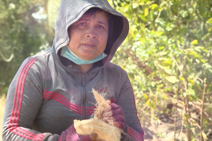 “Chuyến xe nhân ái”: Mẹ nghèo leo dừa thuê, một mình nuôi con vào đại học