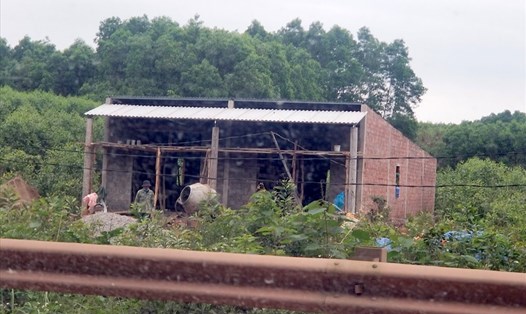 Một ngôi nhà được xây dựng cấp tốc ở địa bàn huyện Vĩnh Linh trên khu vực trồng cây tràm. Ảnh: HT.
