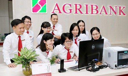 Cán bộ, nhân viên Ngân hàng Agribank trong giờ làm việc (ảnh minh họa). Ảnh: CĐN