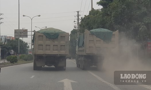 Tình trạng những đoàn xe chở quá khổ, quá tải tung hoành trên các cung đường ở Ninh Bình. Ảnh: NT