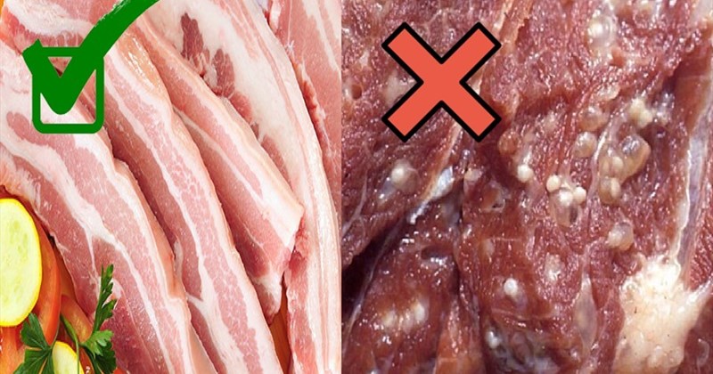 3. Các Dấu Hiệu Nhận Biết Thịt Lợn Bị Hôi