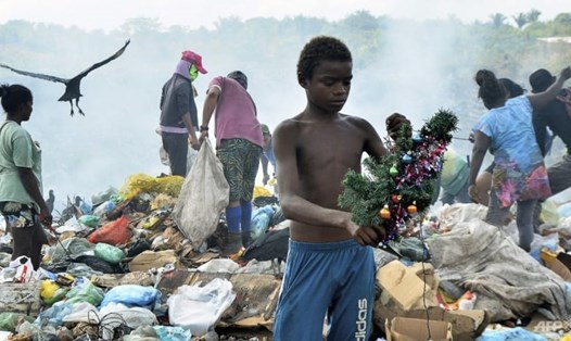 Bức ảnh cậu bé Brazil Gabriel Silva nhặt cây thông Noel ở bãi rác lan truyền rộng rãi trên mạng xã hội, khiến nhiều người xúc động. Ảnh: AFP