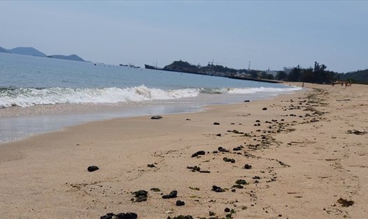 Sáng 17.3, dọc bờ biển từ khu du lịch Evason Ana Mandara Nha Trang đến cuối công viên Bạch Đằng xuất hiện nhiều cục dầu cặn. Ảnh: P. Linh