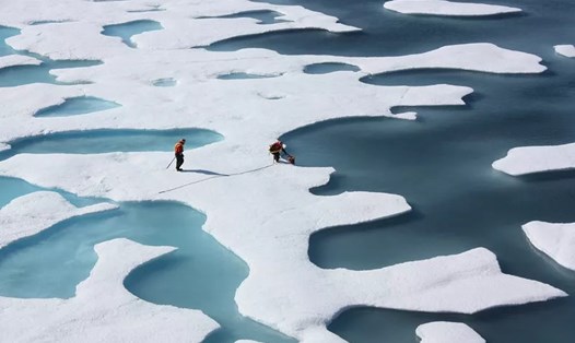 Các nhà đi bộ trên băng biển ở Bắc Cực. Ảnh: NASA/Kathryn Hansen