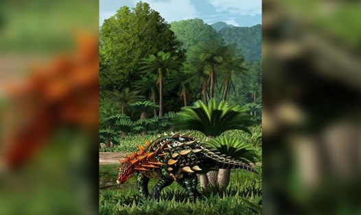 Khủng long bọc giáp Yuxisaurus kopchicki được phát hiện ở Trung Quốc. Ảnh: Yu Chen