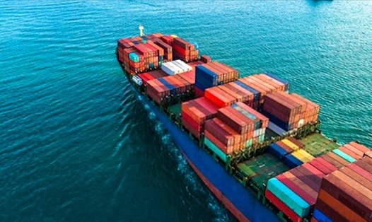 16 container hạt điều của Việt Nam đã được cảnh sát Italia hỗ trợ, đề nghị các hãng tàu tạm thời giữ lại chưa giao cho bên mua. Ảnh minh họa: TL