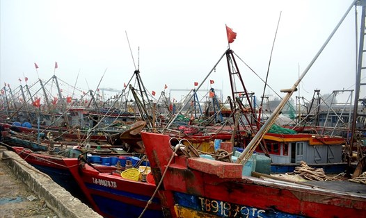 Theo ước tính, có đến 60% tàu cá hành nghề lưới kéo ở Thái Bình phải nằm bờ do giá dầu tăng cao. Ảnh minh họa: Trung Du