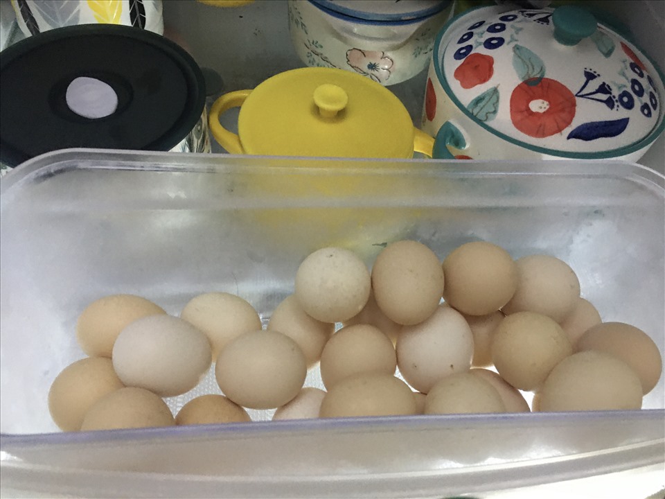 Cách bảo quản trứng gia cầm trong tủ lạnh an toàn