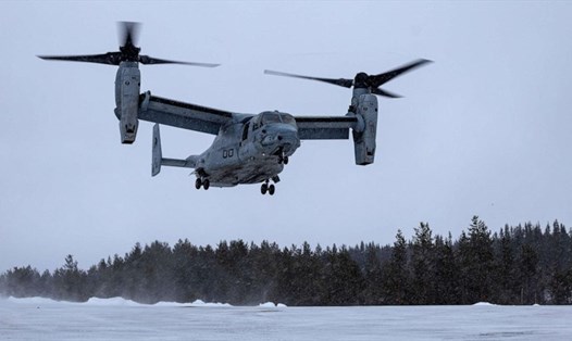 Máy bay MV-22B Osprey của Thủy quân lục chiến Mỹ hạ cánh xuống Căn cứ Quân đội Na Uy ở Setermoen, Na Uy, ngày 2.3.2022. Ảnh: US Marines Corp